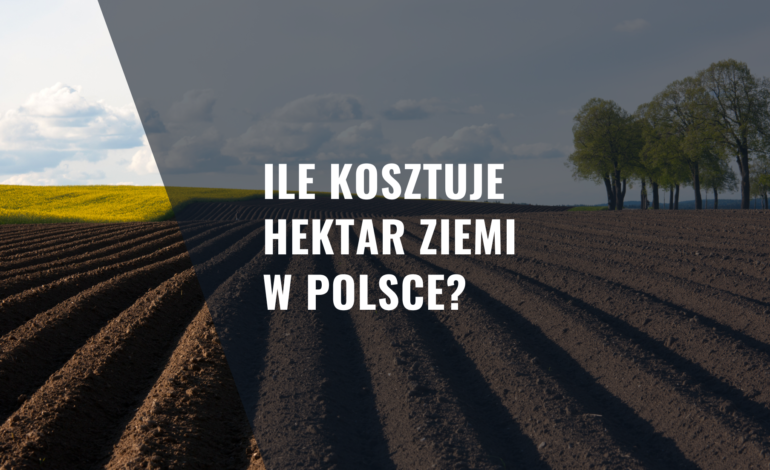 Ile kosztuje hektar ziemi w Polsce?